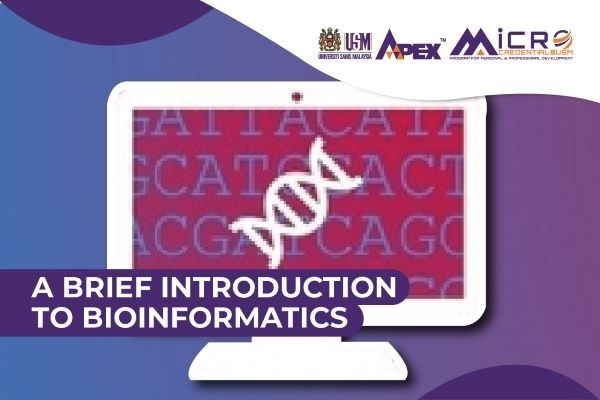 l4l bioinformatics